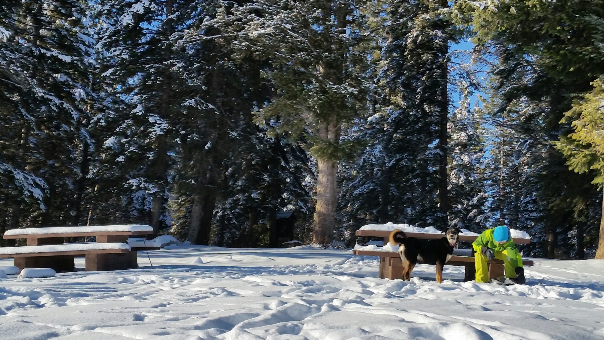 Snowshoeing Cedar Lake Golden BC