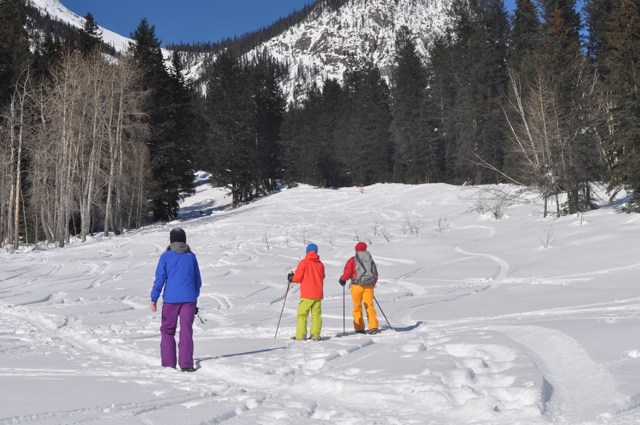 Snowshoeing in Golden BC