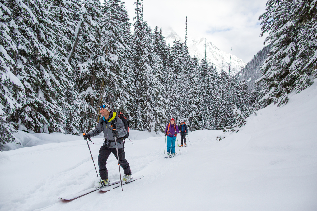 Ski Touring Rogers Pass this winter? Read on