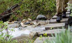 Spring in Golden, BC | Activities & Attractions