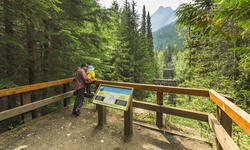 Activities for the family to enjoy in Golden
