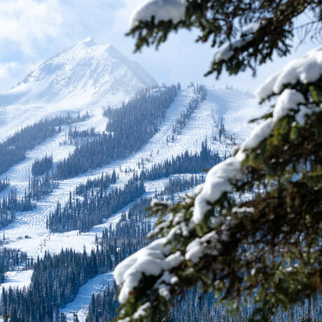 Kicking Horse Mountain Resort, Winter