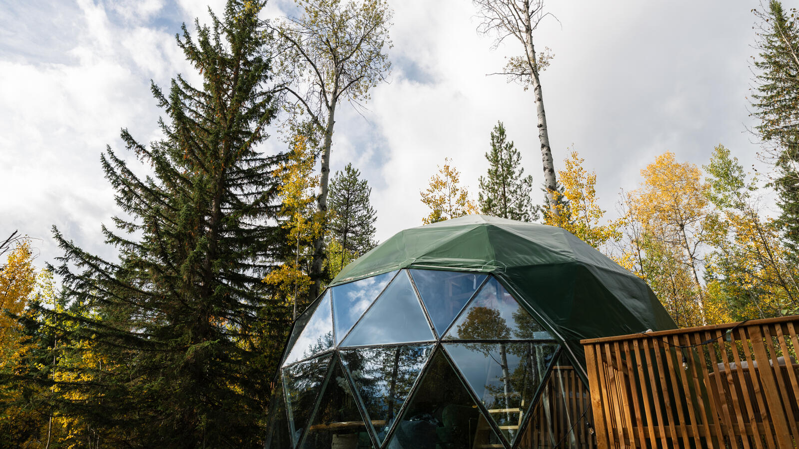 Bleeberry Base Dripdome