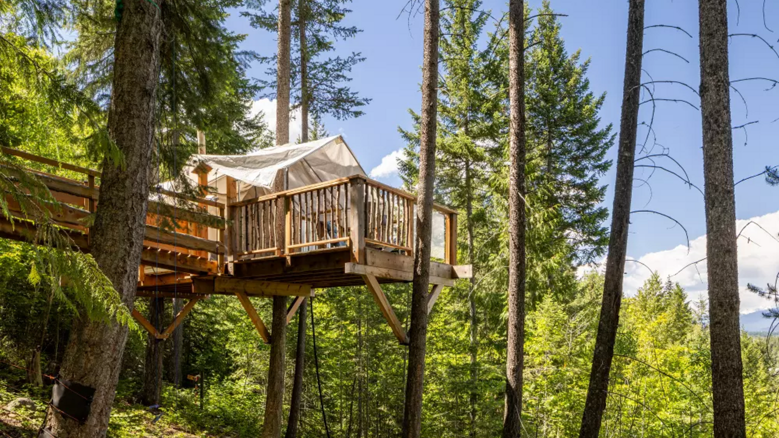 Fir and Feather Treehouse daytime