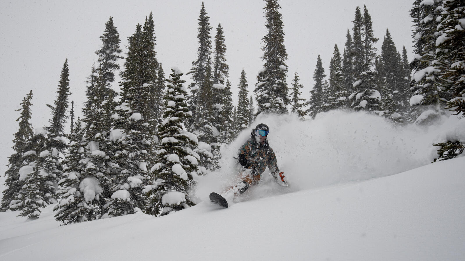 Golden Powder Guides- powder.jpg
