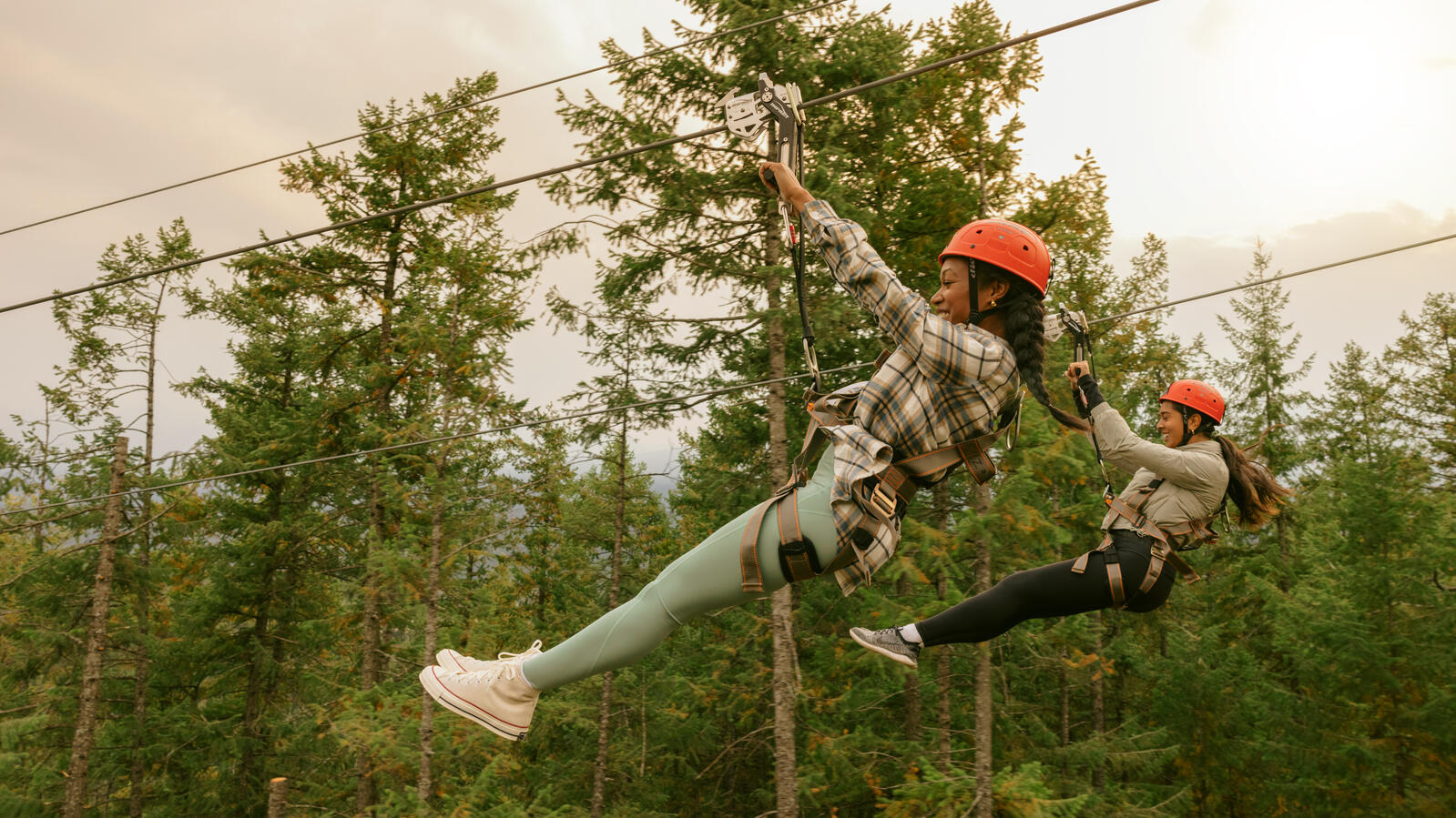 Golden Skybridge Zipline