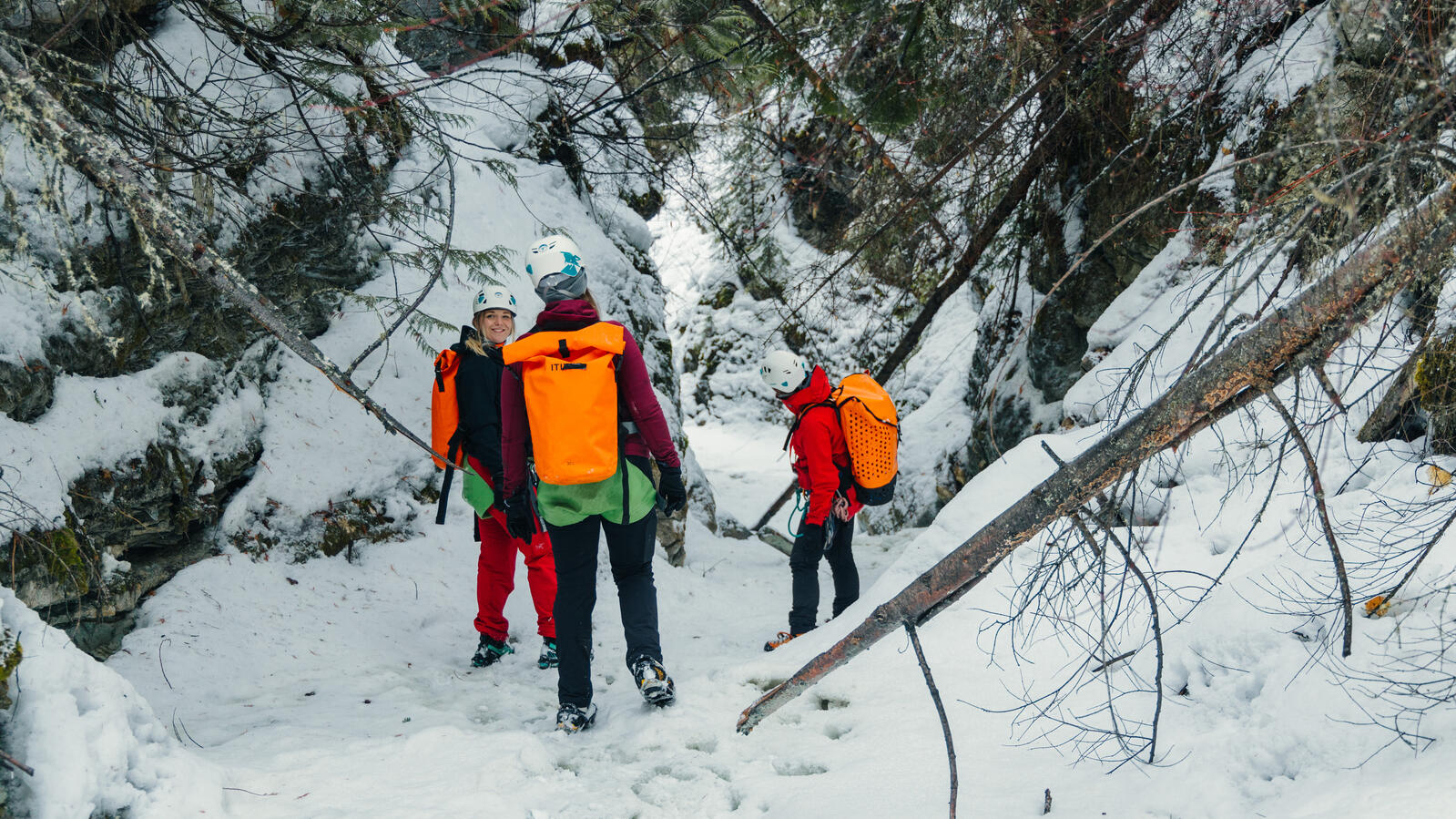Western Canyoning Adventures Escalade sur glace Golden