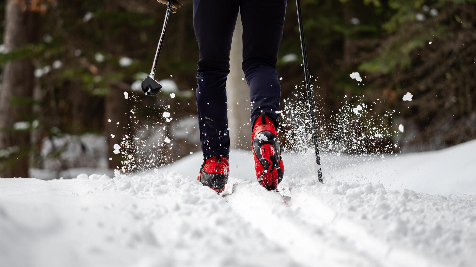 Golden-BC-Activities-Nordic cross country skiing-credit Maur Mere Media-25.jpg Dawn Mountain Nordic Centre