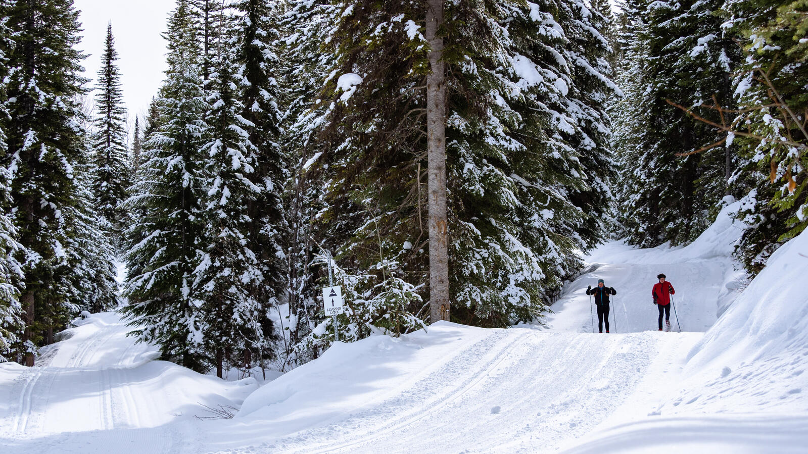 Golden-BC-Activities-Nordic cross country skiing-credit Maur Mere Media-26.jpg Dawn Mountain Nordic Centre