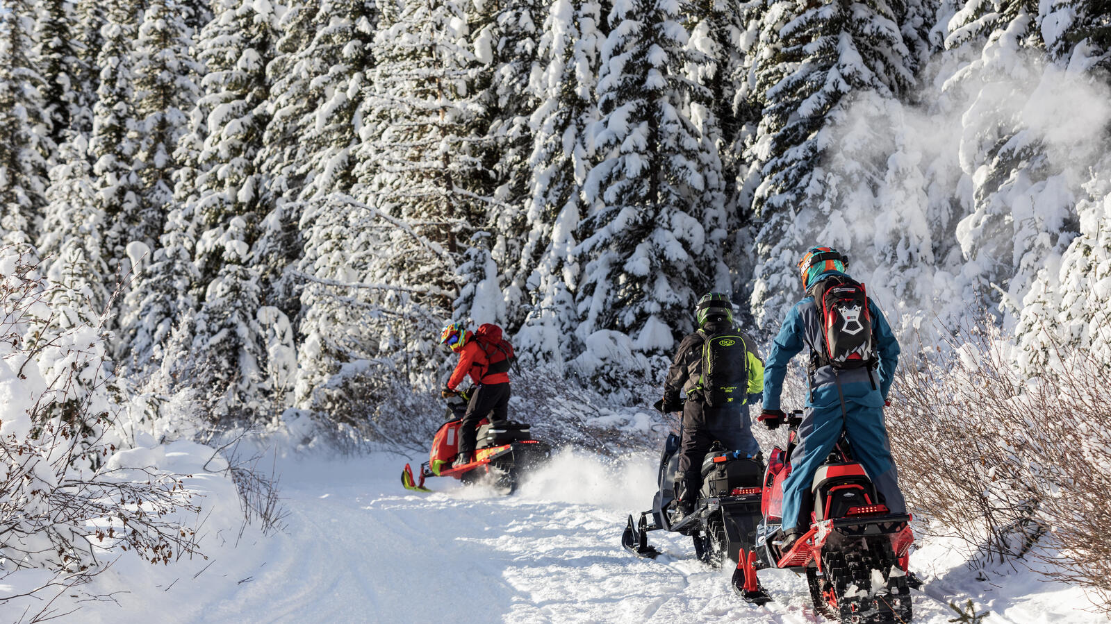 Golden-BC-Activities-Snowmobiling-credit Dave Best-186.jpg Motoneige