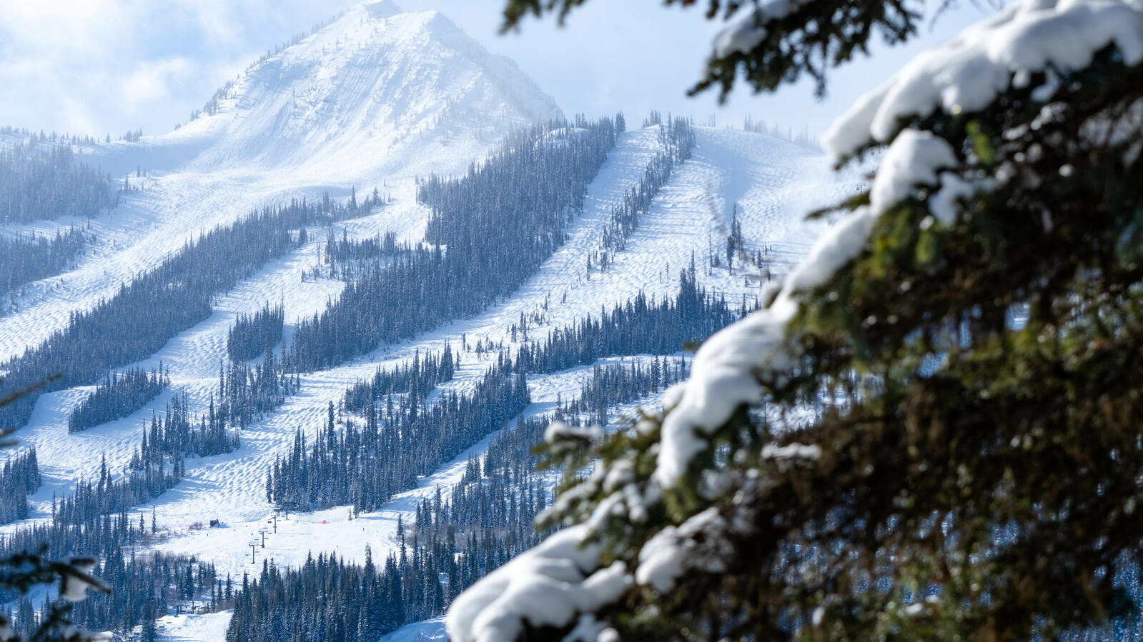 Golden-BC-Kicking Horse Mountain Resort- Credit Maur Mere-25.jpg Kicking Horse Mountain Resort, Winter