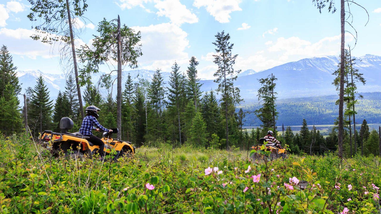 Quad in Golden BC Quad in Golden BC